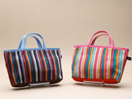 Bag-in-Bag