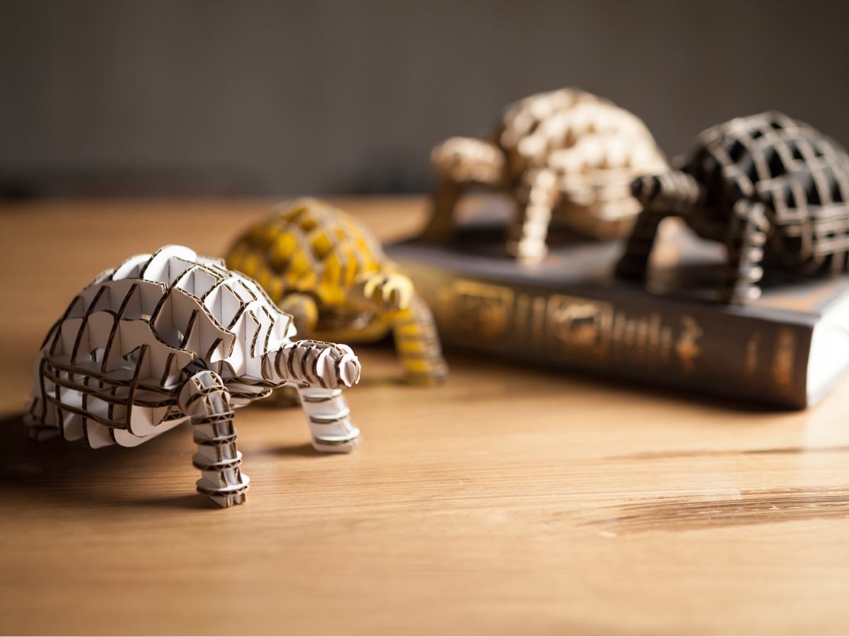 DTorso Laser Cut Cardboard Animals Tortoise 104 Products ALEXCIOUS