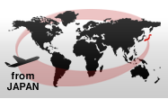 WORLD WIDE SHIPMENT
