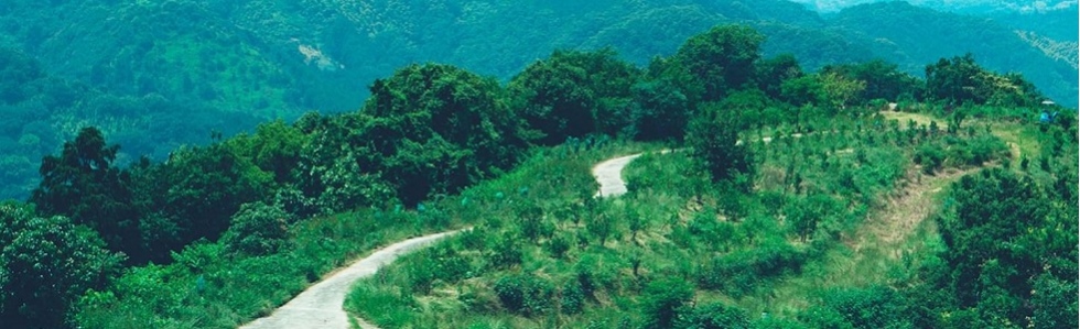 Masanobu Fukuoka Natural Farm