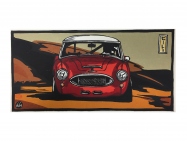 Austin Healey WRC Model - wood-print art