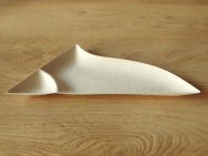 Paper Tableware 'wasara' (50 pack) - eco friendly