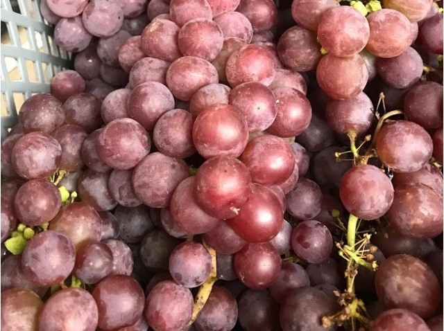 偽干葡萄 北海道完全無添加干し葡萄 DIONYSOS2種セット 計3箱 - 北海道