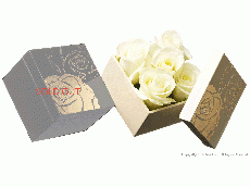 Dresser Box Ivory - gold leaf box