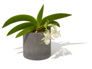 Diatomaceous Earth Planter Holder