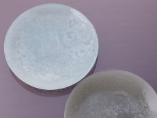 Bubbles (round plate)