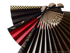 Folding Fan - hand fan