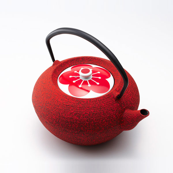 Stubby Cast Iron Teapot ALEXCIOUS